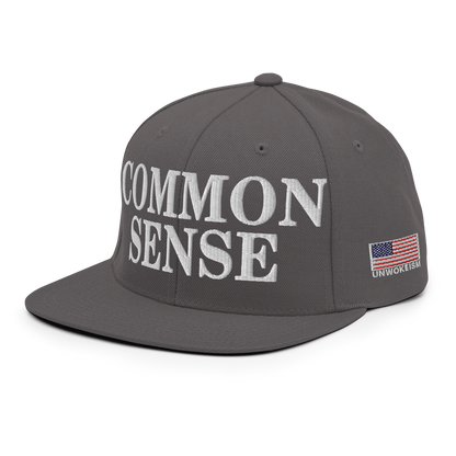 Common Sense Hat