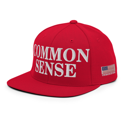 Common Sense Hat