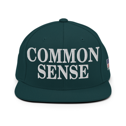 Common Sense Hat